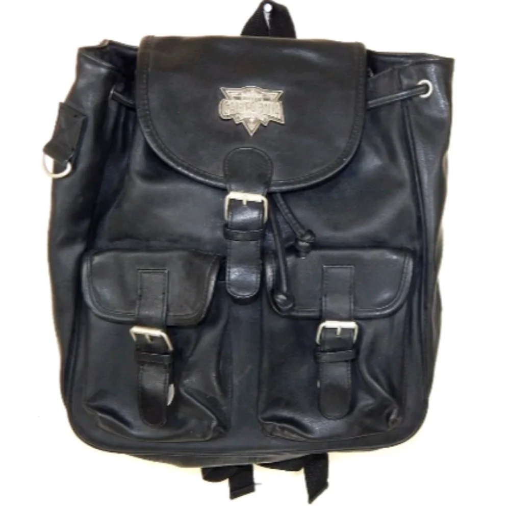 Disneyland California Adventure Mini Backpack